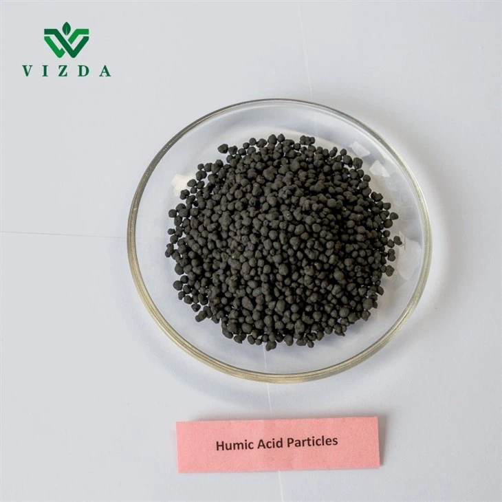 Humic Acid Brown Granular Fertilizer