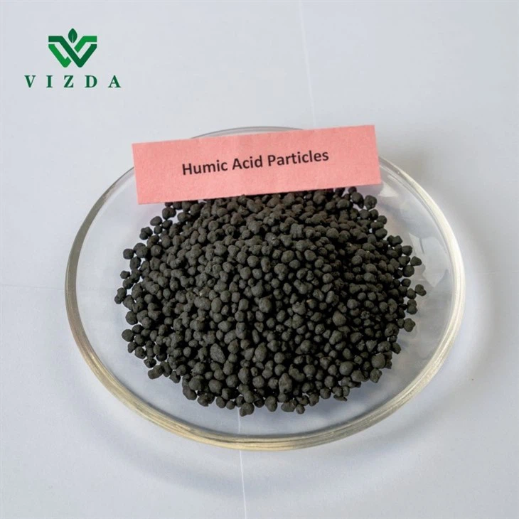 Humic Acid Brown Granular Fertilizer