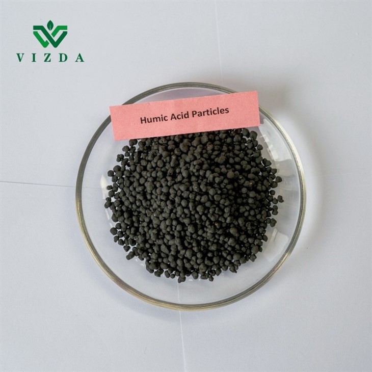 Humic Acid Brown Granular Fertilizer
