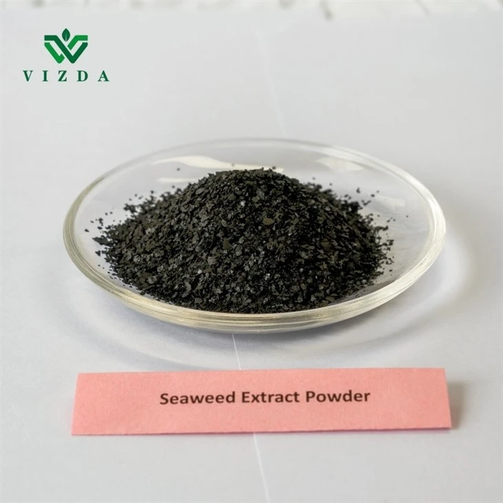 OceanGrow Fertilizer Seaweed Extract