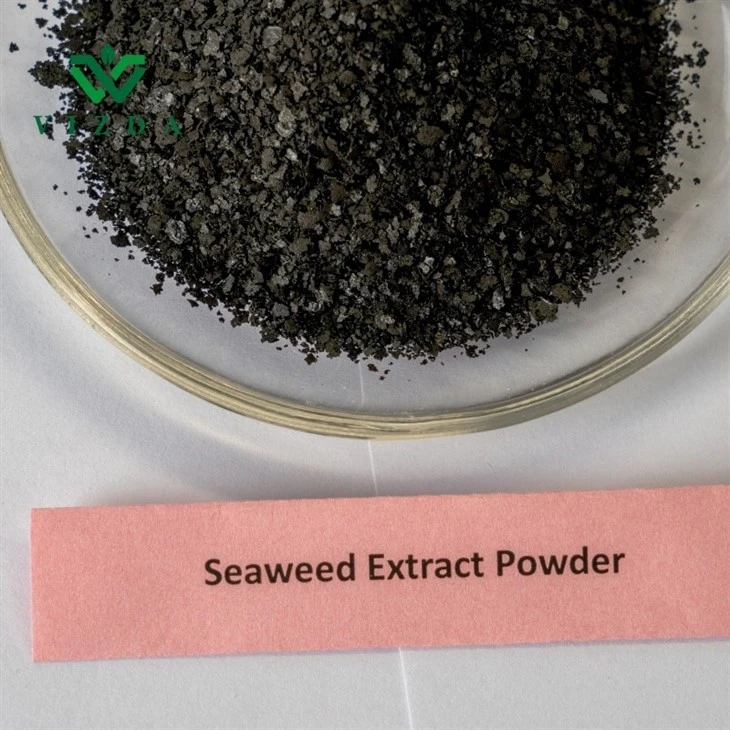 Soluble Seaweed Extract
