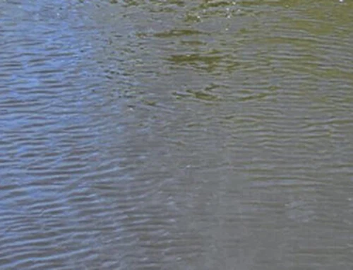 Monitors de laboratori muntats en dron-l'escorrentia de fertilitzants en temp...