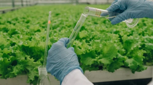 La indústria dels fertilitzants canvia cap a sistemes agronòmics integrats, l...