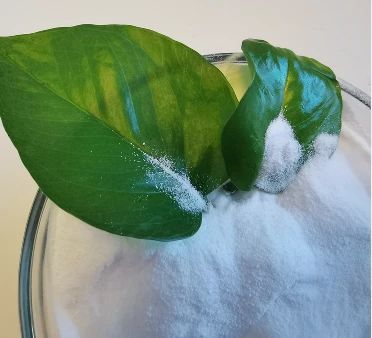 KNO3 Indústria de fertilitzants de nitrat de potassi